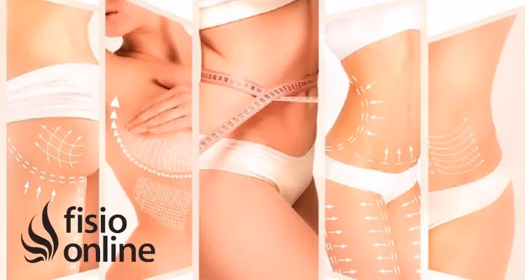 ¿Cuáles son los 4 pilares de la fisioterapia?