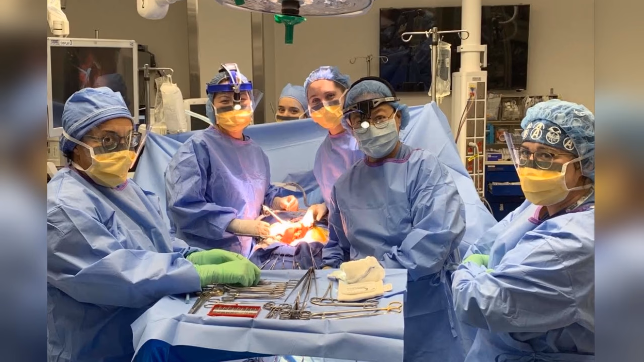 ¿Cuántas cirugías puede hacer un cirujano al día?