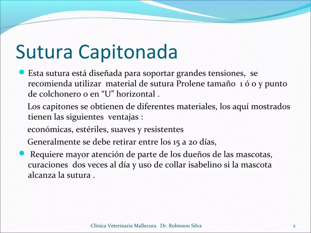 El Capitoné en Cirugía: Guía Completa de Sutura