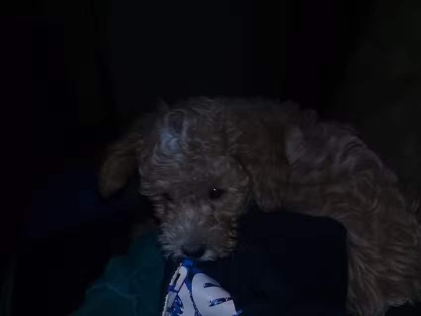 CENTRO DE ESTETICA YAMILA – MP 22718 – AMBOS SEXOS