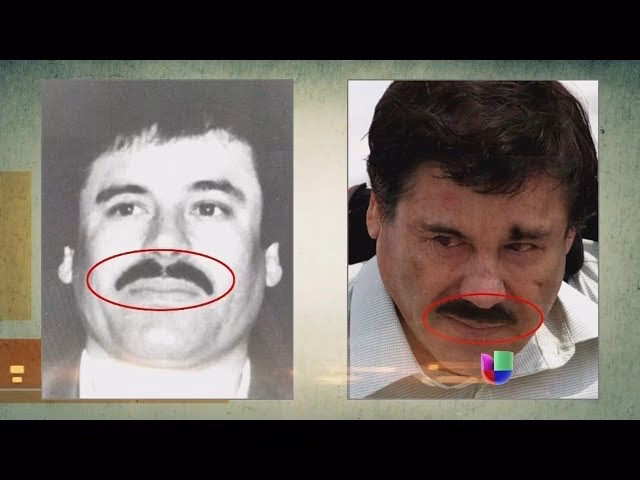 ¿Qué es la operación Cisne Negro?