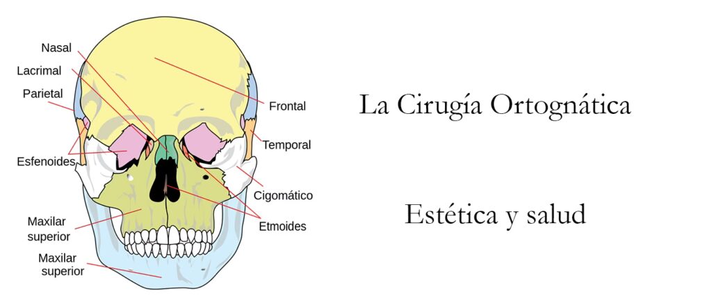 Eliminación de Venas en la Frente: ¿Es Seguro?
