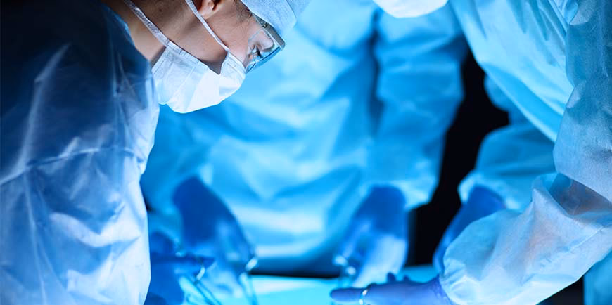 ¿Qué dice la ley Sara?