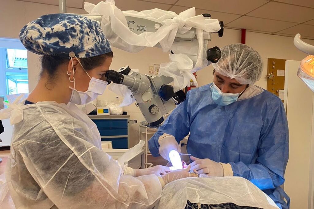 Cirugía Periodontal: ¿Cuándo es Necesaria?