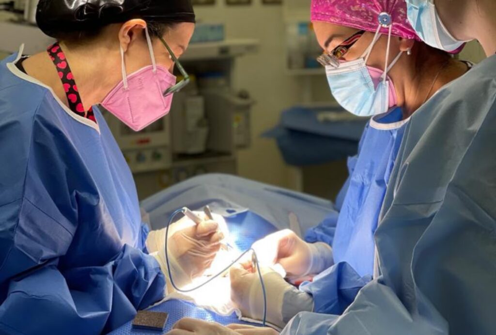 Cirugía Reconstructiva Pediátrica: Una Guía