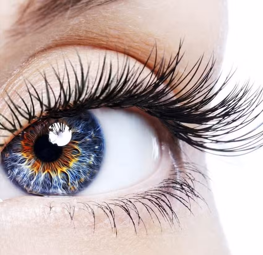 Dr. Gagliardi Cirugía Plástica