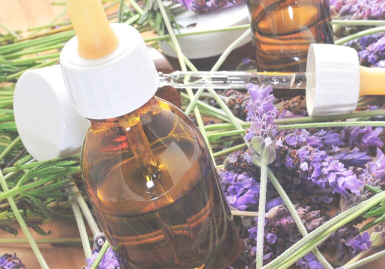 Flores de Bach: Guía Completa sobre esta Terapia