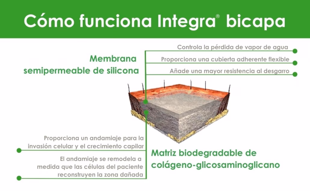 ¿Qué es una piel íntegra?