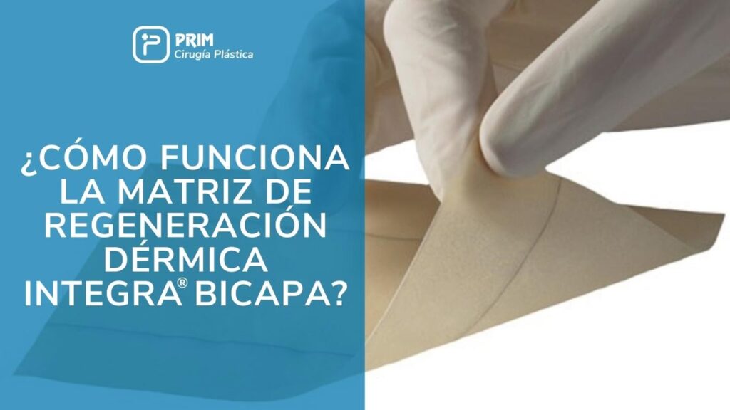 Integra: La Matriz de Regeneración Dérmica
