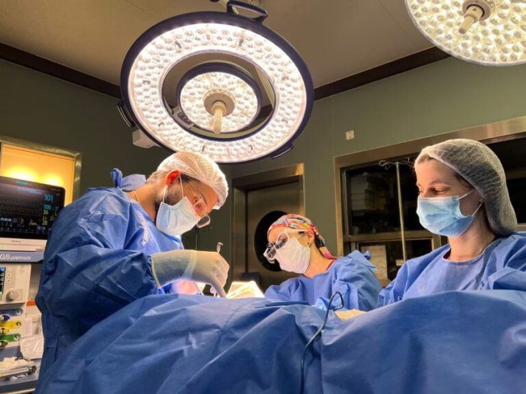 Cirugía Plástica en el Sistema de Salud Uruguayo