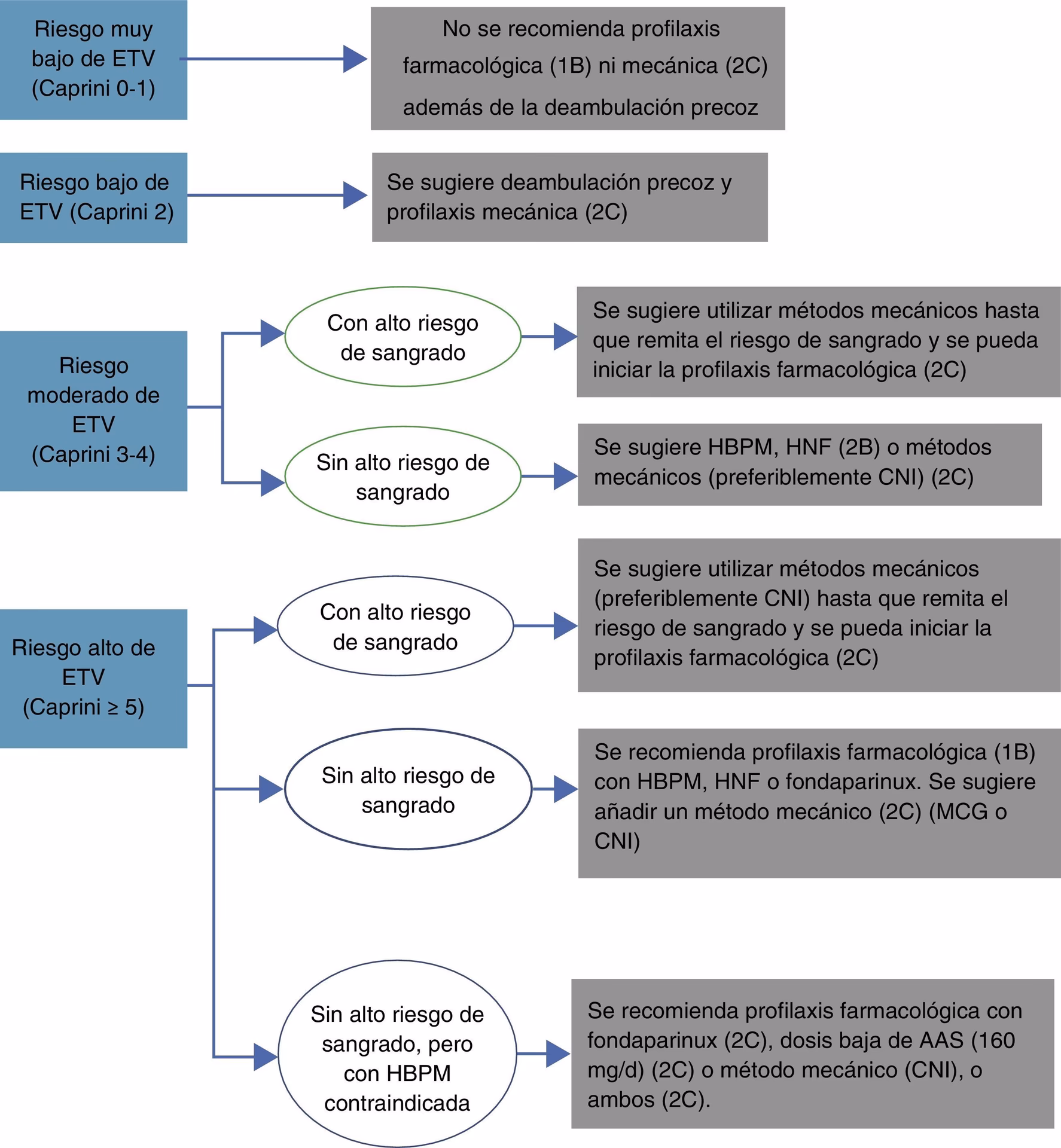 ¿Qué es la prevención de la TVP?