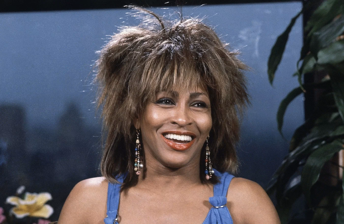 ¿Cuánto valían las piernas de Tina Turner?